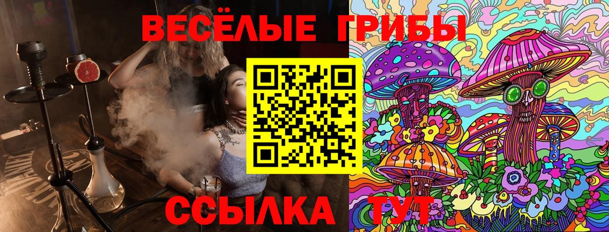 Азов  Псилоцибиновые грибы Cubensis  Вход с VPN 